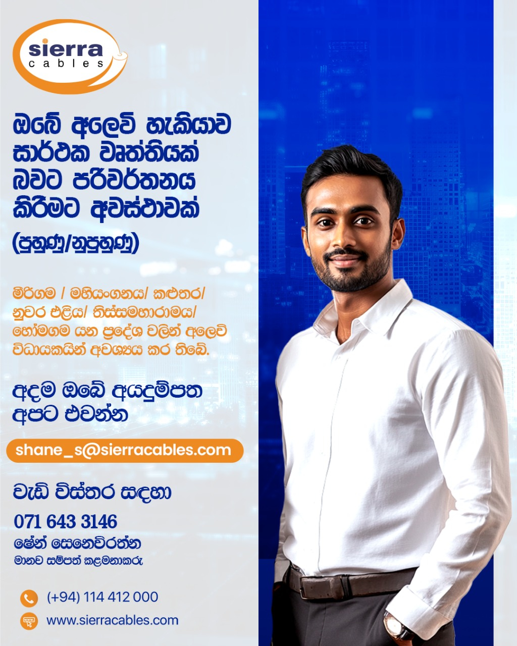 Sales Executive
